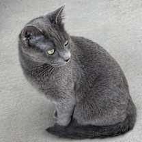 Thumbnail photo of Rain #1