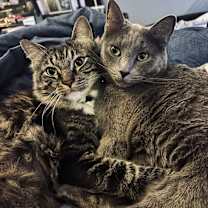 Thumbnail photo of Rain #2