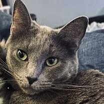 Thumbnail photo of Rain #3