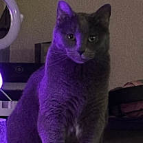 Thumbnail photo of Rain #4