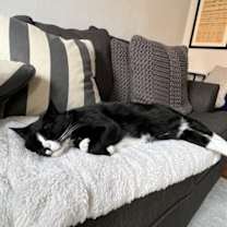 Thumbnail photo of Charli #4