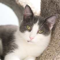 Thumbnail photo of Kenzie #3