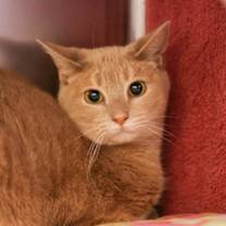 Thumbnail photo of Sissy #1