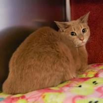 Thumbnail photo of Sissy #2