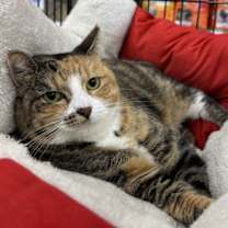 Thumbnail photo of Cammie #2