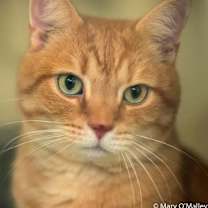 Thumbnail photo of Jethro AKA Thero #1