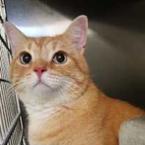 Thumbnail photo of Jethro AKA Thero #2