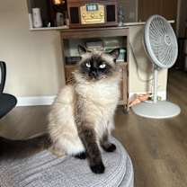 Thumbnail photo of Spooky #1