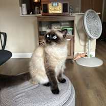 Thumbnail photo of Spooky #2