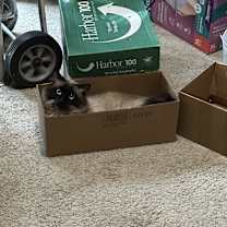 Thumbnail photo of Spooky #3