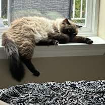 Thumbnail photo of Spooky #4