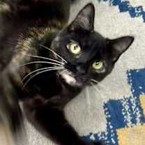 Thumbnail photo of Mila #4