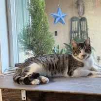 Thumbnail photo of Bo #1