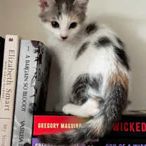 Thumbnail photo of Isla 4948 #1