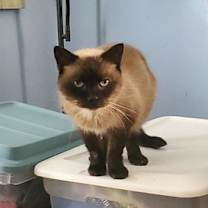 Thumbnail photo of Mocha #1