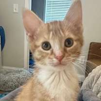 Thumbnail photo of Rio #3