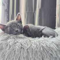 Thumbnail photo of Miss Green #3