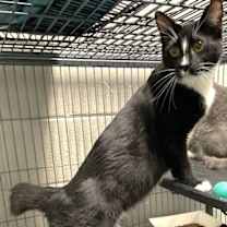 Thumbnail photo of Larry #2