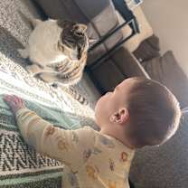 Thumbnail photo of Leo #4