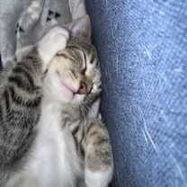 Thumbnail photo of Bill O #2