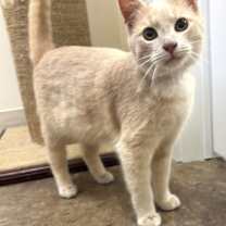 Thumbnail photo of Twizzler #2