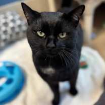 Thumbnail photo of Hustle #2