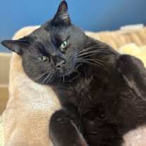 Thumbnail photo of Hustle #3