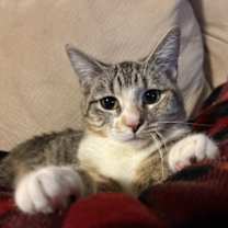 Thumbnail photo of Tabasco #2