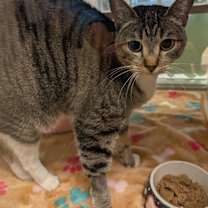 Thumbnail photo of Isabel #1