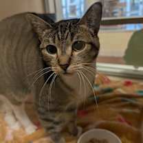 Thumbnail photo of Isabel #2