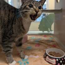 Thumbnail photo of Isabel #3