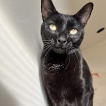 Thumbnail photo of Winslow #1