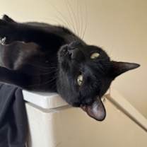 Thumbnail photo of Winslow #2