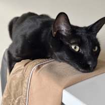 Thumbnail photo of Winslow #3