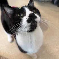 Thumbnail photo of Sally #2