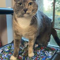 Thumbnail photo of Maisy #1