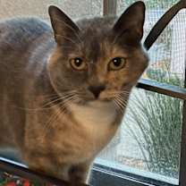 Thumbnail photo of Maisy #2