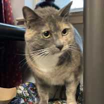 Thumbnail photo of Maisy #4