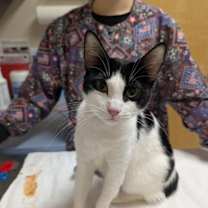 Thumbnail photo of Lexi #1