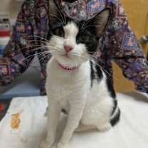 Thumbnail photo of Lexi #2