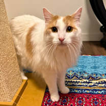 Thumbnail photo of Jasper #1