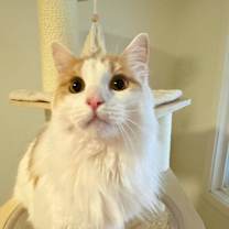 Thumbnail photo of Jasper #2