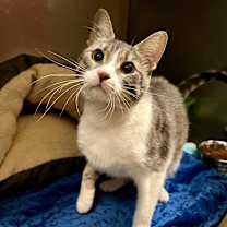 Thumbnail photo of Mama Ruby #1