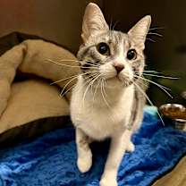 Thumbnail photo of Mama Ruby #2