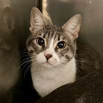 Thumbnail photo of Mama Ruby #3