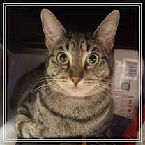 Thumbnail photo of HARLEY MOM #2