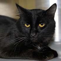 Thumbnail photo of Luca #3