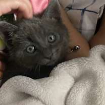 Thumbnail photo of Tom #4