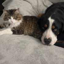 Thumbnail photo of Milton #2