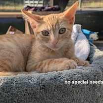 Thumbnail photo of Zoe #3